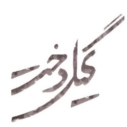 gil-dokht-serial-ahang
