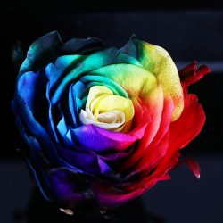 اهنگ شادمهر و شاهین نجفی اون روزو میبینم ریمیکس