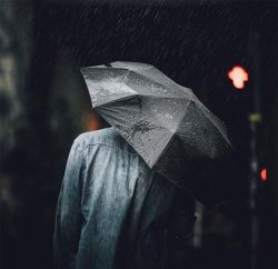 دانلود اهنگ جدید اهنگ سپهر خلسه باغ وحش اهنگ سپهر خلسه باغ وحش