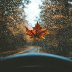 اهنگ برگ خزون سیاوش قمیشی