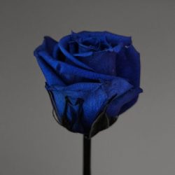 اهنگ هایده ای دیدن تو دین من