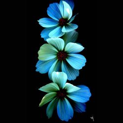 اهنگ یکی برسه به دادم دلمو به یکی دادم ریمیکس اینستا