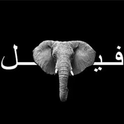 اهنگ میگن تهدیدت میکنن میگم طوری نی – گادپوری