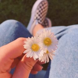 اهنگ هایده بمیرم من واسه اون دل شکسته پیانو