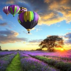 اهنگ اشنای من من غریبم بی تو با صدای هلیا کامل