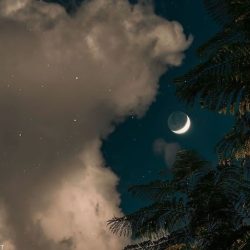 اهنگ شده ام بت پرست تو قسم به چشمون مست تو هایده