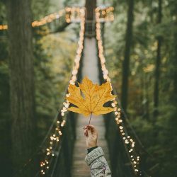 اهنگ بگو از کجا آوردی اون چشای مثل گربه با صدای زن