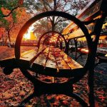 tataloo-darya-hamishe-daryast