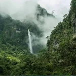 shahin-najafi-bebaksh-age-kam-bodam