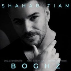 shahab-tiam-boghz-identity