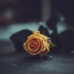 mar-chon-hasht-khatam